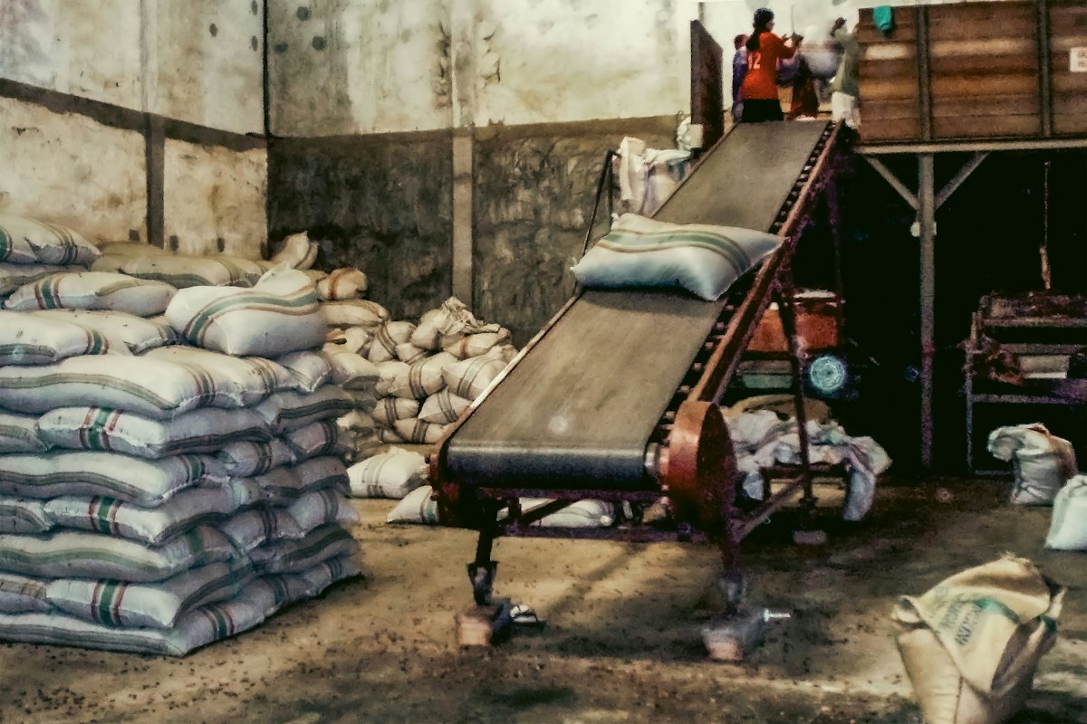 Conveyor belt and filled sacks inside a processing facility